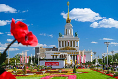 Фестиваль Вкусы России пройдет с 13 по 23 августа на ВДНХ. Ждём яркие блюда и гастрономические путешествия по всей стране.