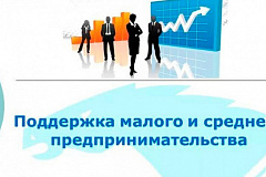 Информация об организациях, оказывающих поддержку субъектам малого и среднего бизнеса